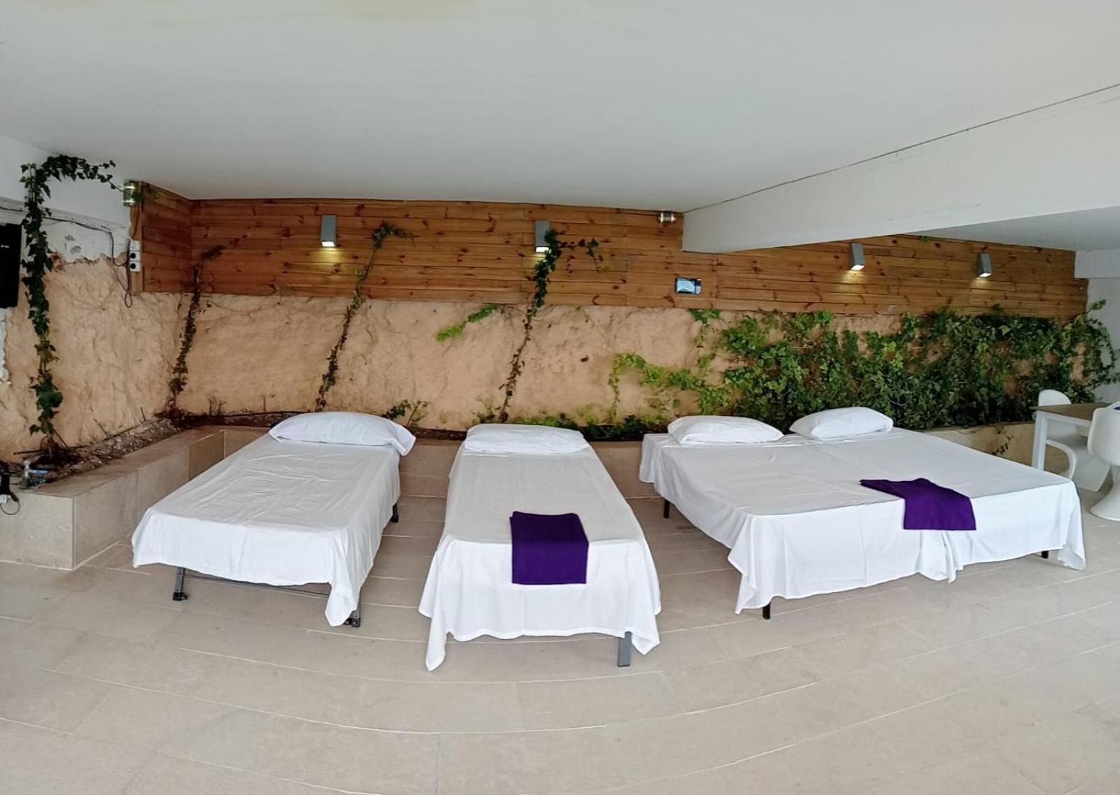 Exclusive Seafront Villa,Private Pool,Gym,Bbq El Toro  Luaran gambar